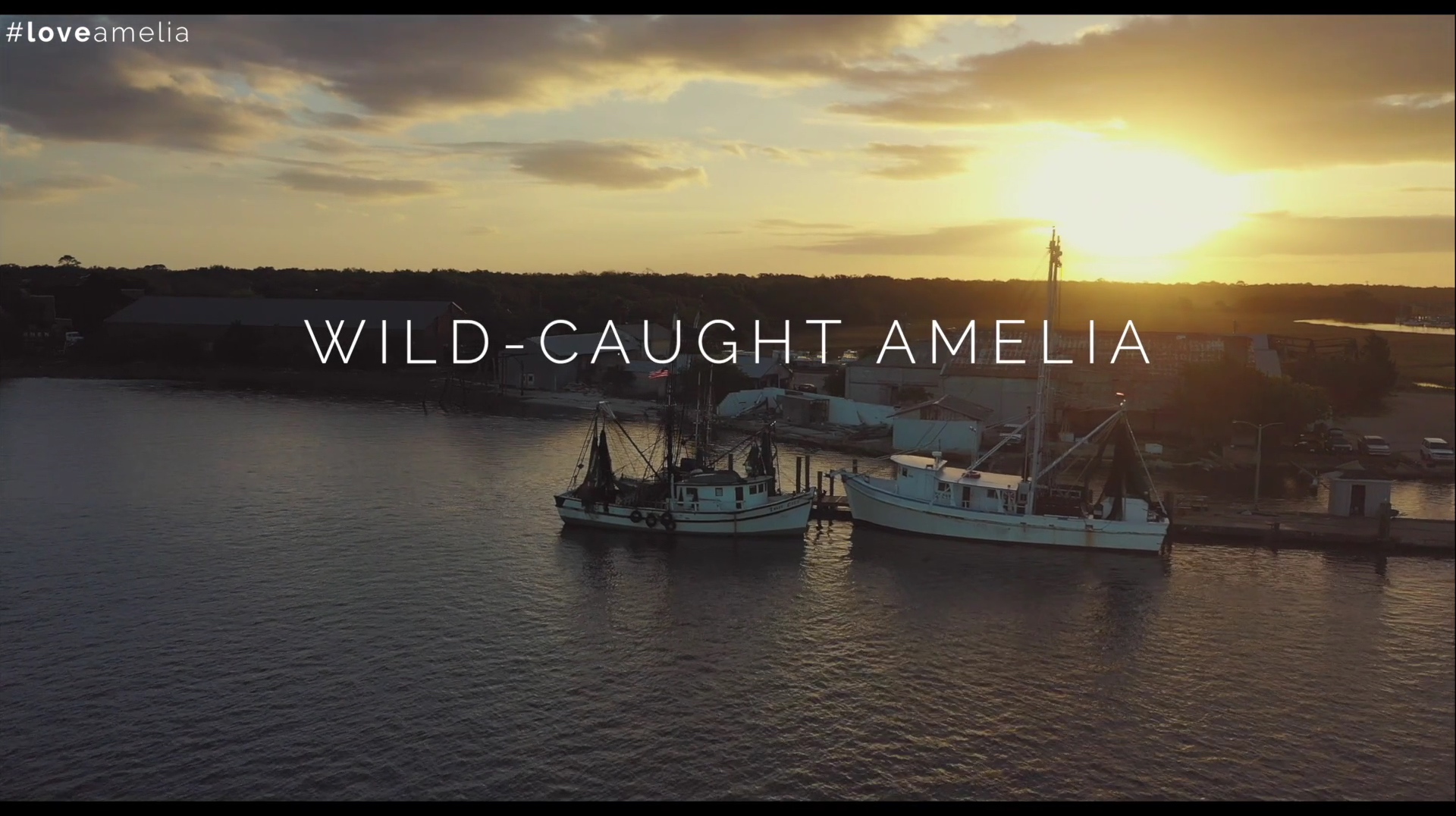 wild caught amelia thumbnail
